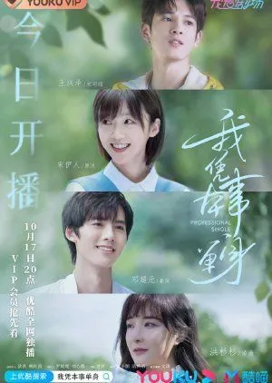 Drama Professional Single (2020) Subtitle Indonesia
