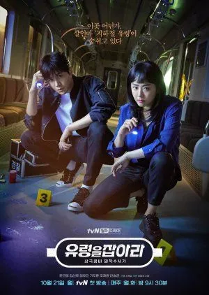 Drakor Catch the Ghost (2019) Subtitle Indonesia