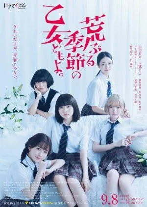 Drama Araburu Kisetsu no Otomedomo yo (2020) Subtitle Indonesia