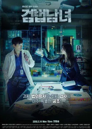 Drakor Investigation Couple (2018) Subtitle Indonesia