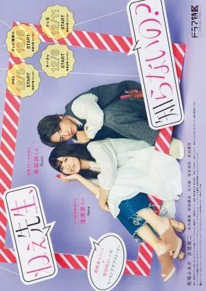 Drama Nee Sensei, Shiranai no? (2019) Subtitle Indonesia