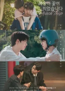 Drakor Peach Trap (2025)